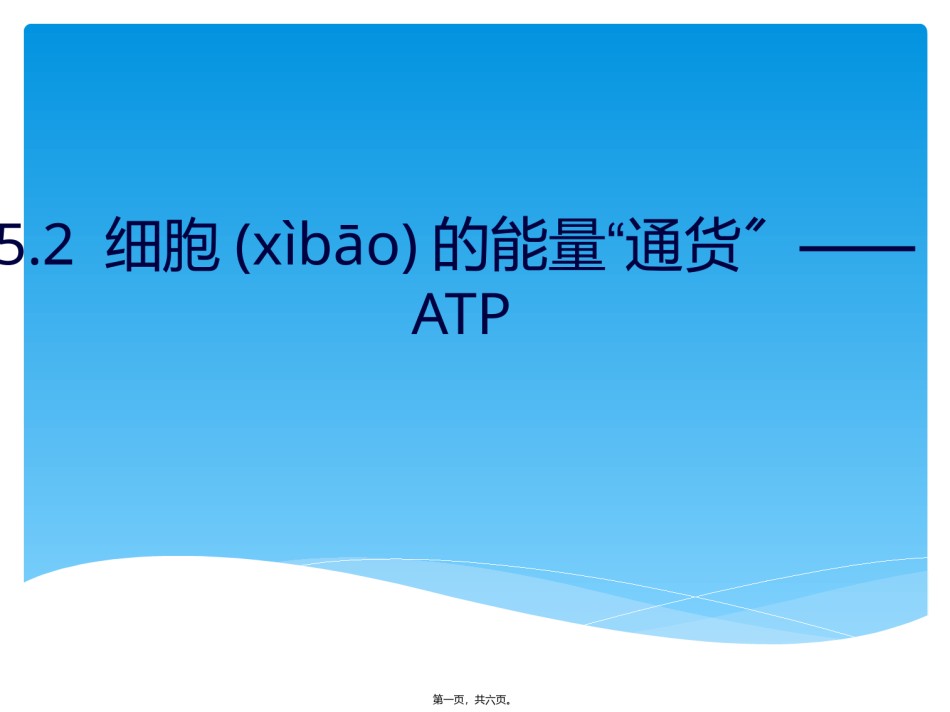 2022年医学专题—.2细胞的能量通货——ATP.pptx_第1页