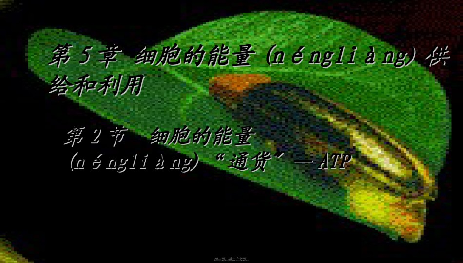 2022年医学专题—.2细胞的能量通货—ATP.ppt_第1页