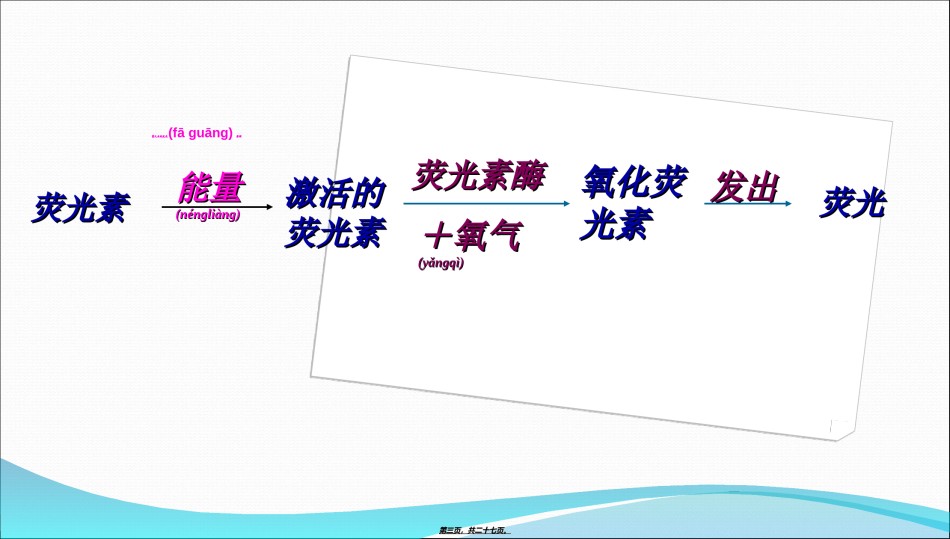 2022年医学专题—.2细胞的能量通货—ATP.ppt_第3页