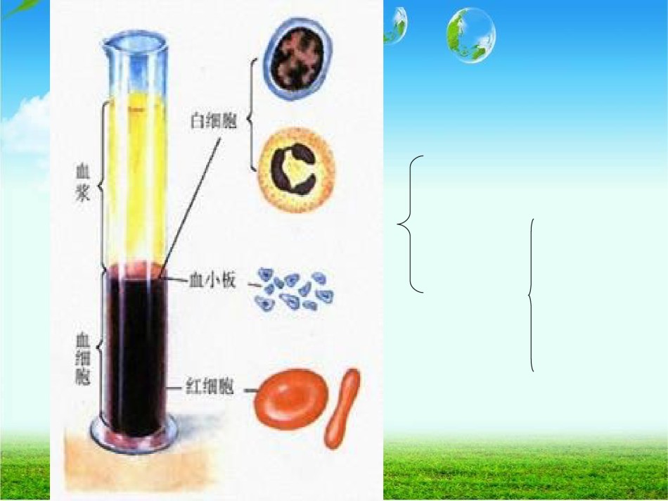 2022年医学专题—.4-第四节--输血与血型.ppt_第2页