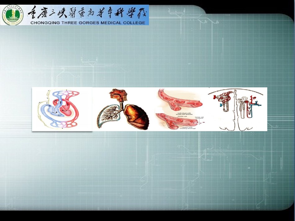 2022年医学专题—.2血管生理.ppt_第1页