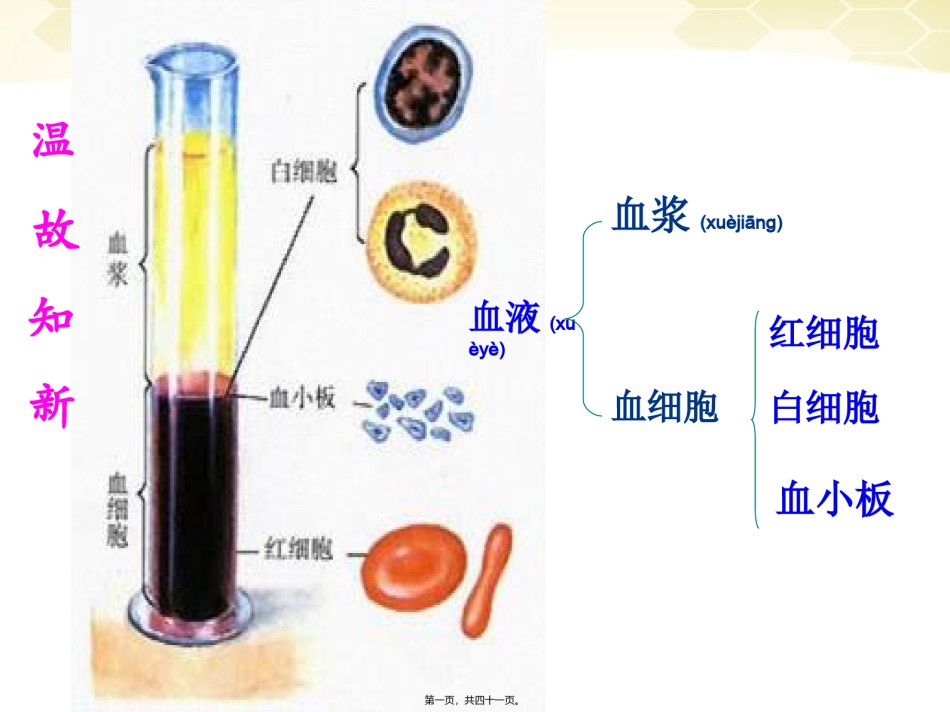 2022年医学专题—.4-输血与血型综述.ppt_第1页