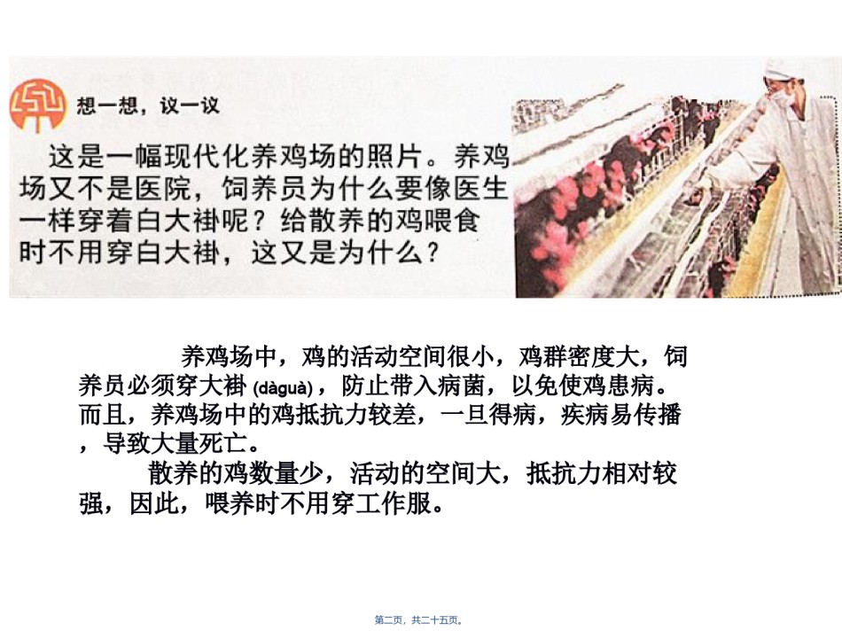 2022年医学专题—.4.1细菌和真菌的分布.ppt_第2页