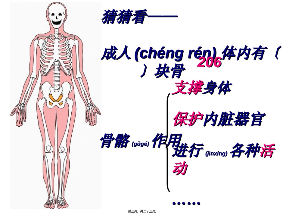 2022年医学专题—.4.2--骨骼关节和肌肉.ppt_第3页