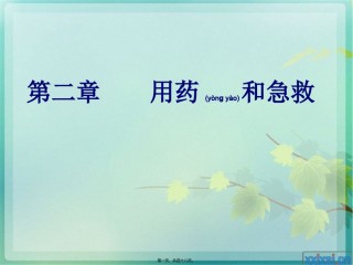 2022年医学专题—.2用药和急救汇总.ppt