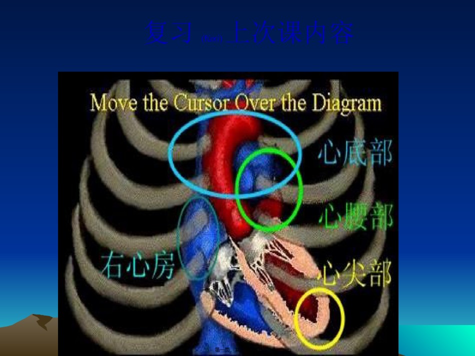 2022年医学专题—.心脏检查2-心-脏-听-诊(5学时)[1].ppt_第1页