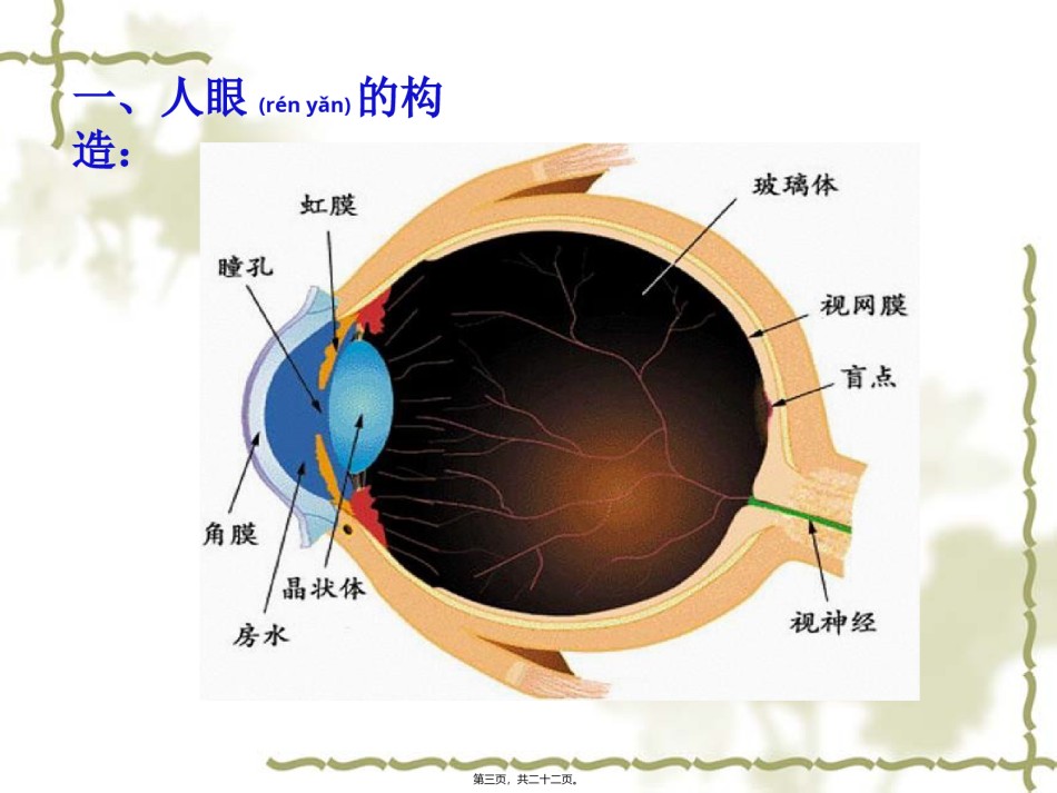 2022年医学专题—.6：眼睛与视力矫正.ppt_第3页