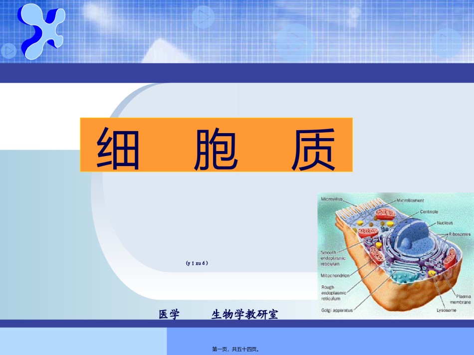 2022年医学专题—(细胞质)全解.ppt_第1页