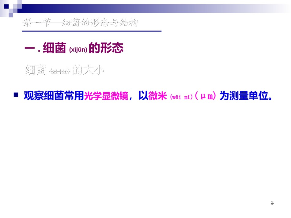 2022年医学专题—(1)细菌的形态与结构.ppt_第3页