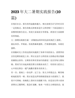 2023年大二暑期实践报告(10篇)