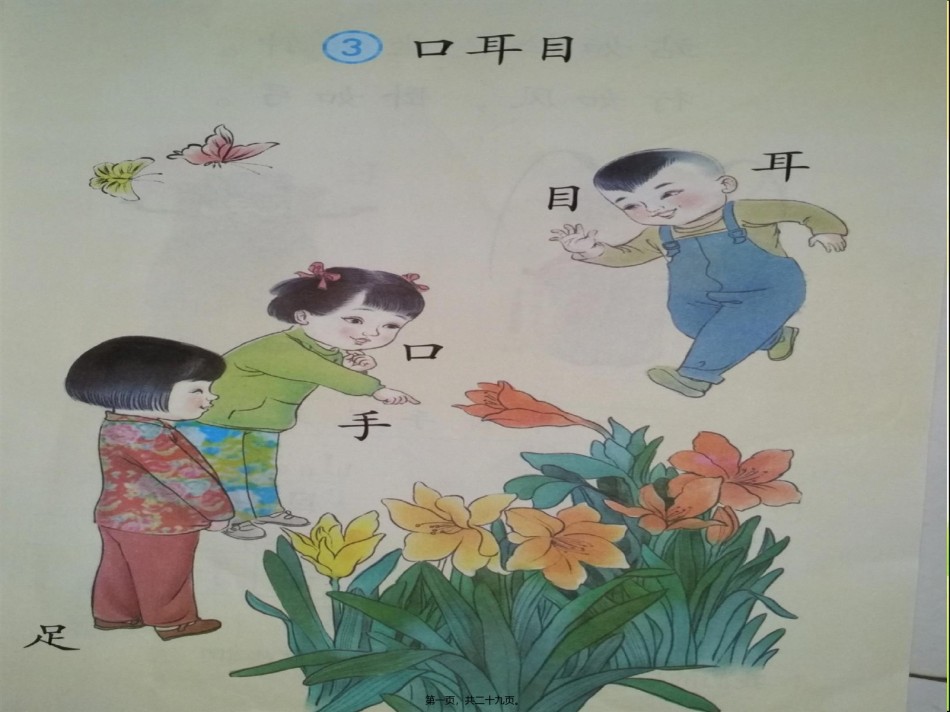 2022年医学专题—《口耳目》.pptx_第1页
