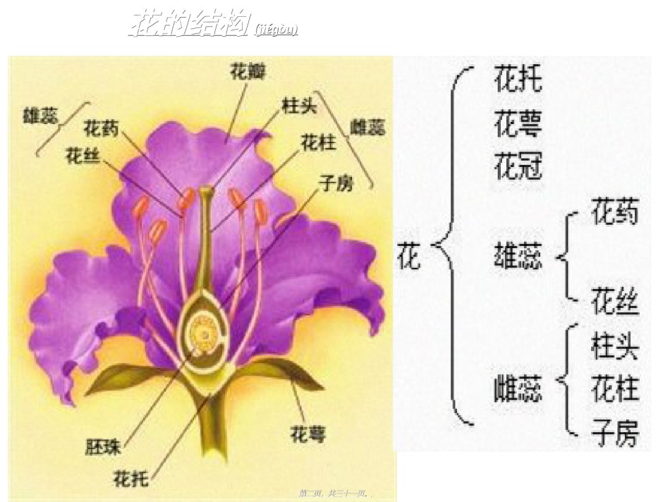 2022年医学专题—[高二理化生]3[1]2月季花药培养.ppt_第2页