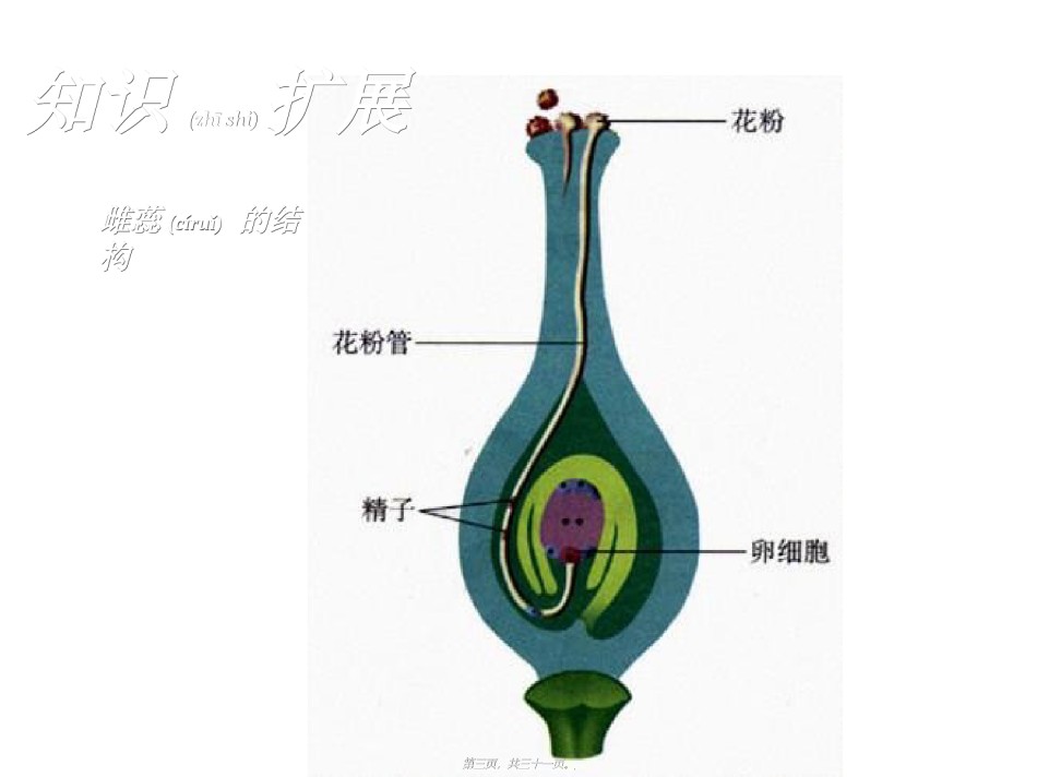 2022年医学专题—[高二理化生]3[1]2月季花药培养.ppt_第3页