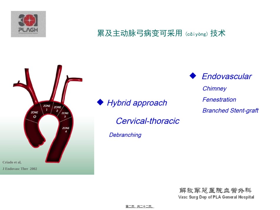 2022年医学专题—[精品]主动脉弓复杂病变--HybridChmneyorelse.ppt_第2页