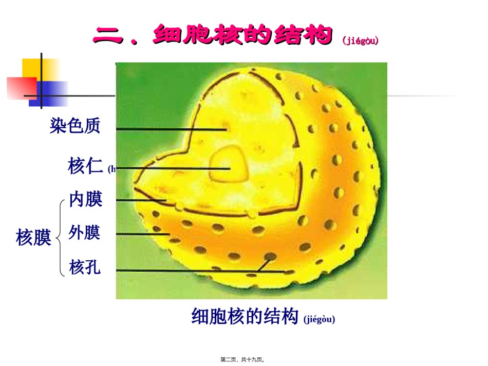 2022年医学专题—[资料]细胞核的构和功能1.ppt_第2页
