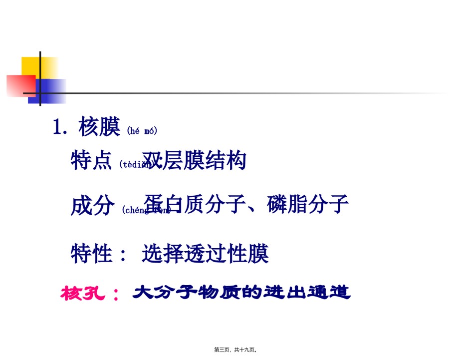 2022年医学专题—[资料]细胞核的构和功能1.ppt_第3页
