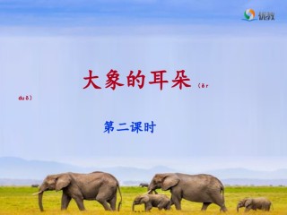 2022年医学专题—《大象的耳朵》名师(第二课时).ppt