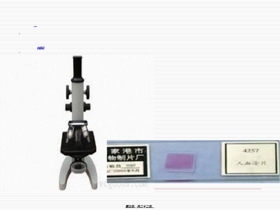 2022年医学专题—《观察人血的永久涂片》.ppt_第3页
