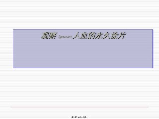2022年医学专题—《观察人血的永久涂片》.ppt