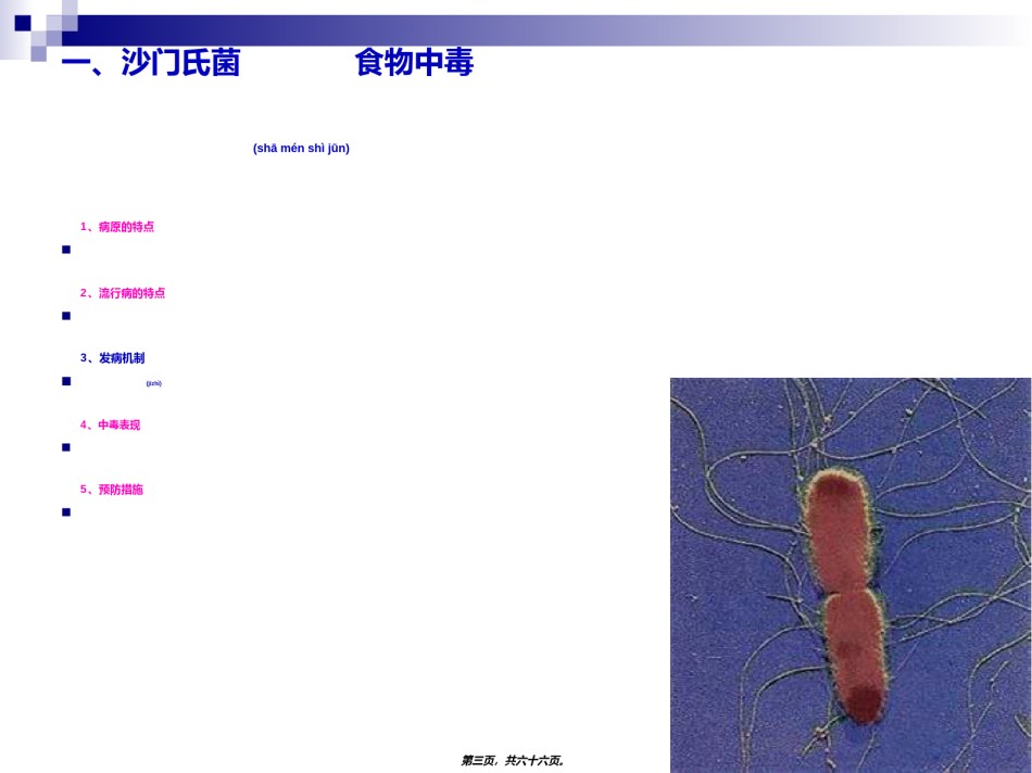 2022年医学专题—《烹饪卫生与安全》-第三讲-沙门氏菌、大肠杆菌、副溶血性弧菌食物中毒.ppt_第3页