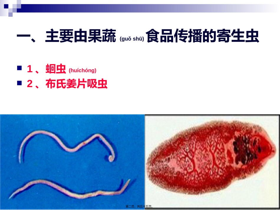 2022年医学专题—《烹饪营养与卫生》-第十六讲-食源性寄生虫病及其控制A-2012优化版.ppt_第2页