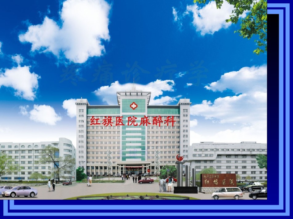2022年医学专题—《疼痛诊疗学》.ppt_第1页