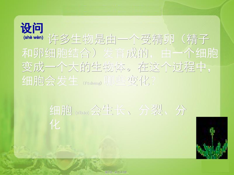 2022年医学专题—《细胞通过分裂产生新细胞》.ppt_第3页