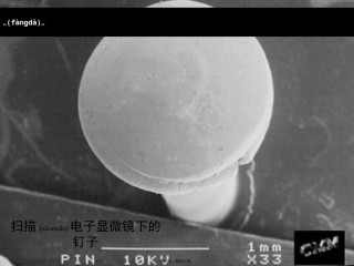 2022年医学专题—《细菌》PPT.ppt