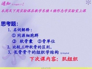 2022年医学专题—《组织胚胎学》-软骨和骨.ppt