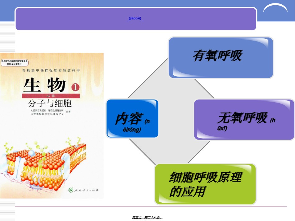 2022年医学专题—《ATP的主要来源-细胞呼吸》说课稿剖析.ppt_第3页