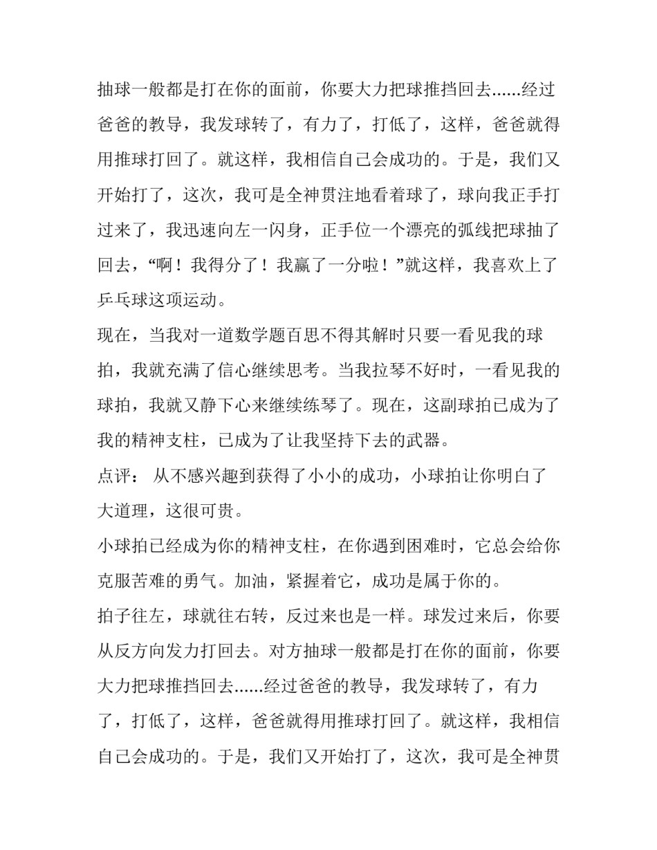 一副乒乓球拍小学作文_第2页
