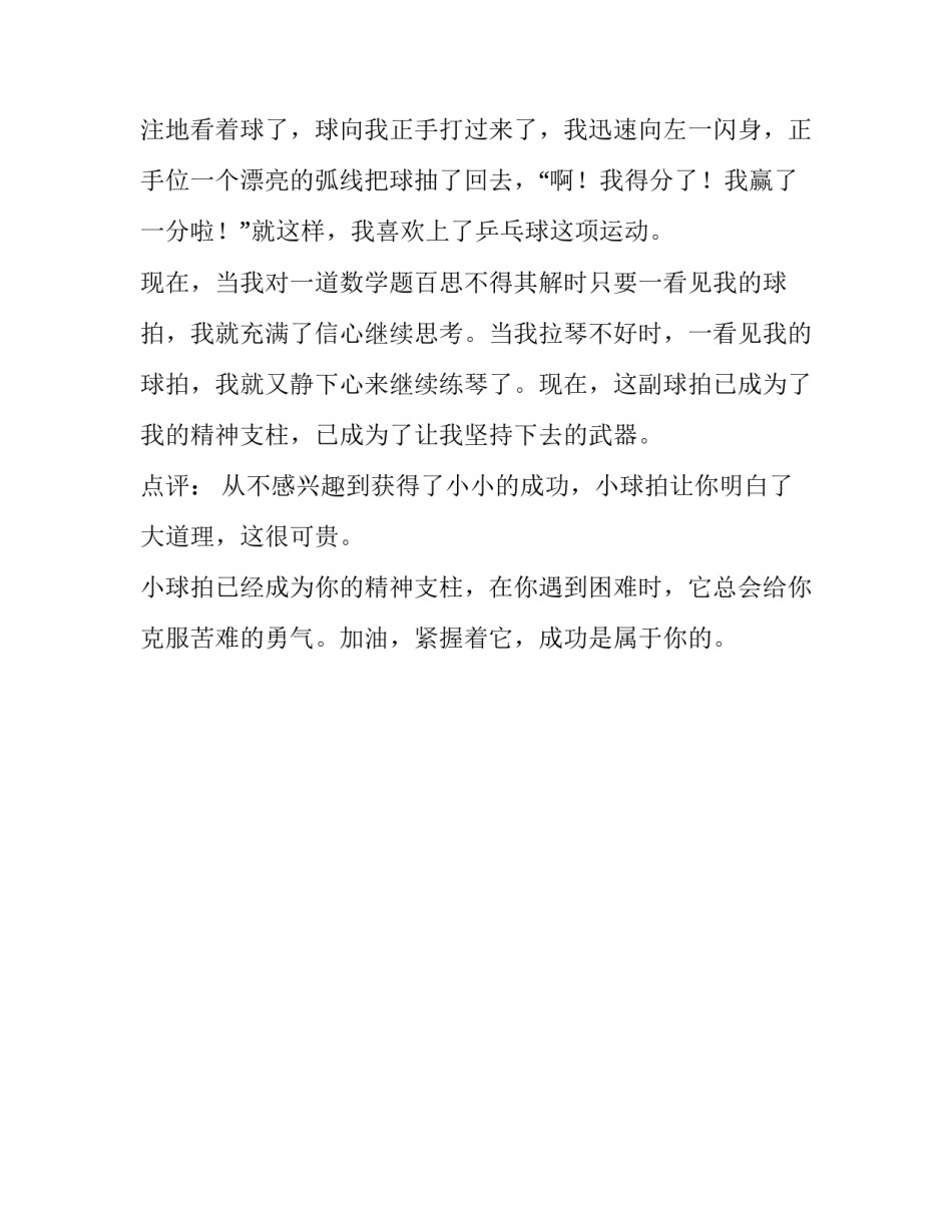 一副乒乓球拍小学作文_第3页