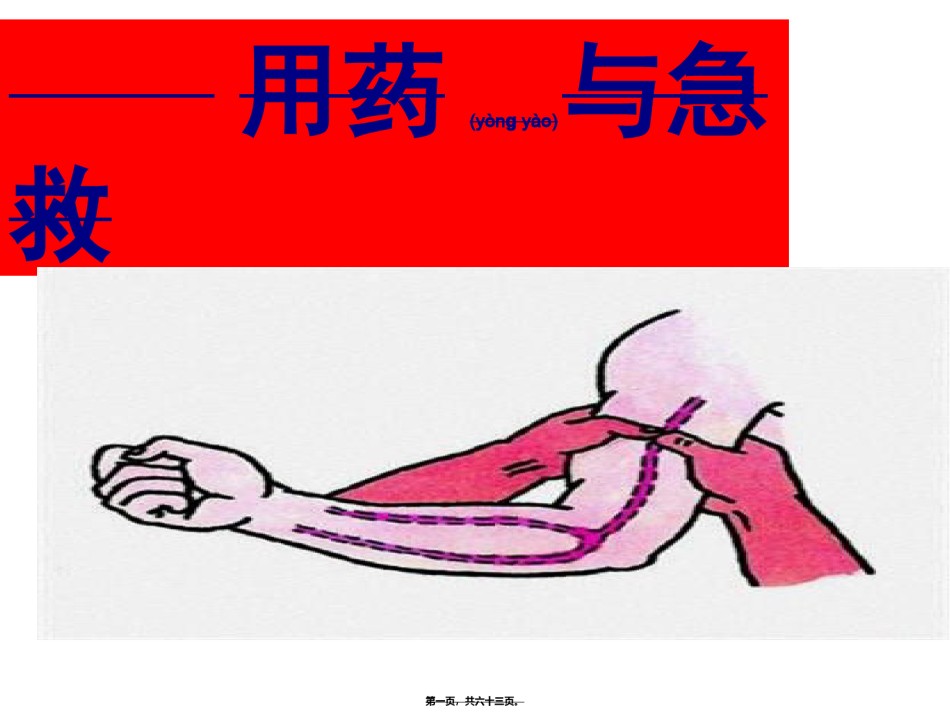 2022年医学专题—《用药急救》.ppt_第1页
