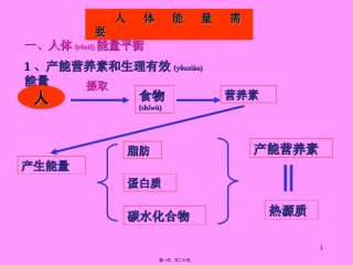 2022年医学专题—《食品营养学》人体能量需要.ppt