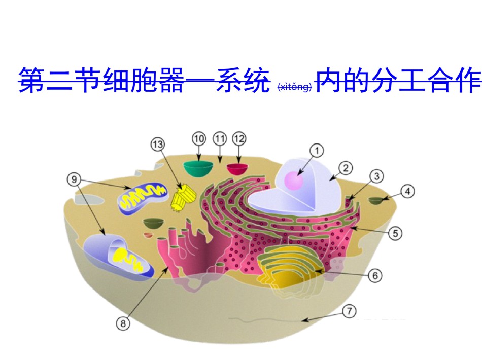 2022年医学专题—《细胞器——系统内的分工合作》(共48张PPT).ppt_第1页