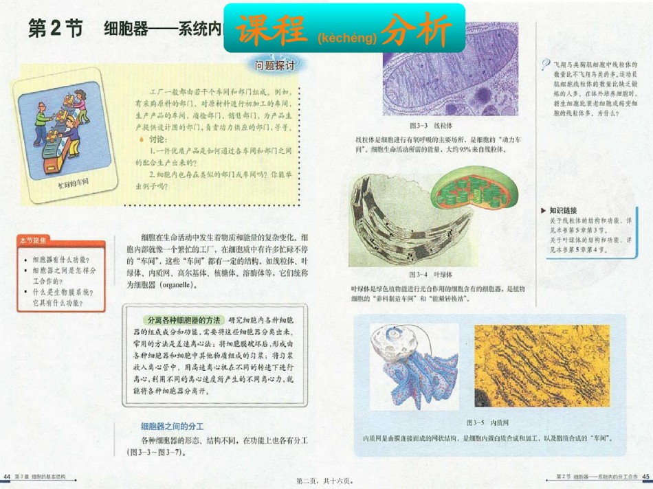 2022年医学专题—《细胞器——系统内的分工合作》说课稿-(1)-(1).pptx_第2页