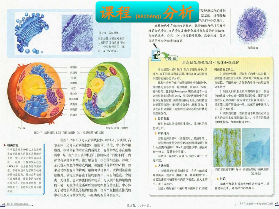 2022年医学专题—《细胞器——系统内的分工合作》说课稿-(1)-(1).pptx_第3页