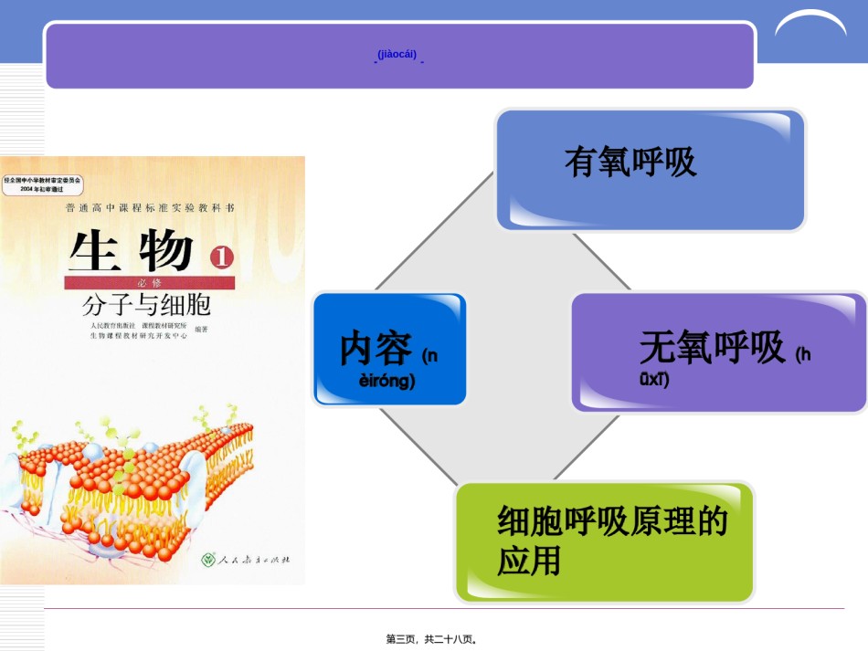 2022年医学专题—《ATP的主要来源-细胞呼吸》说课稿分解.ppt_第3页