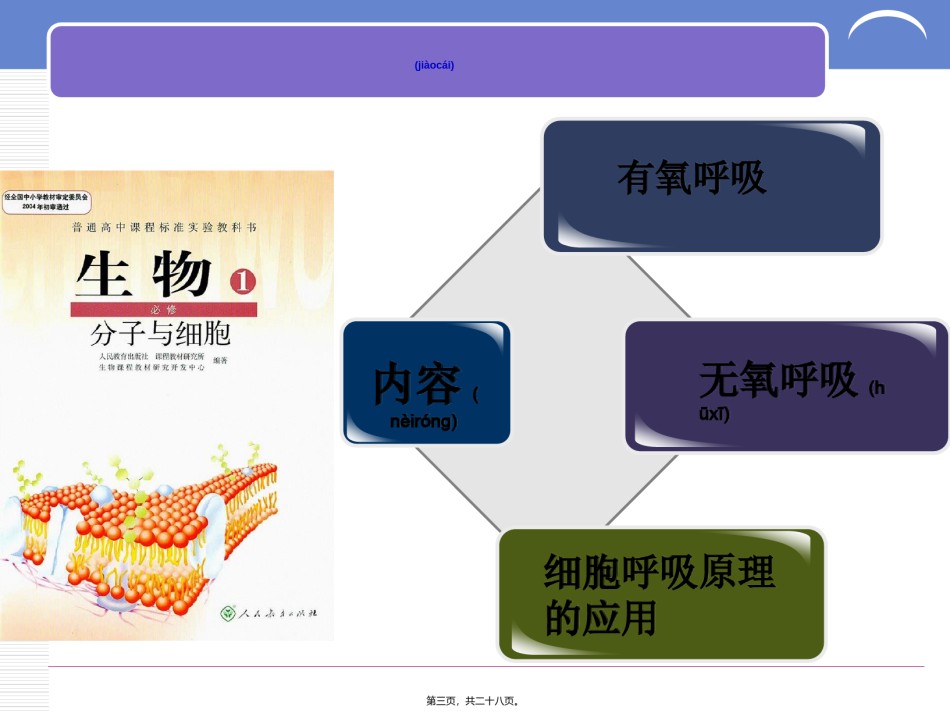 2022年医学专题—《ATP的主要来源细胞呼吸》说课稿详解.ppt_第3页