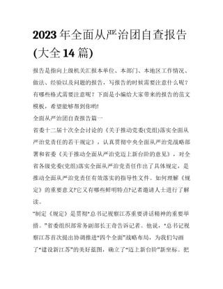 2023年全面从严治团自查报告(大全14篇)