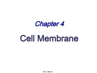 2022年医学专题—4-细胞膜.ppt