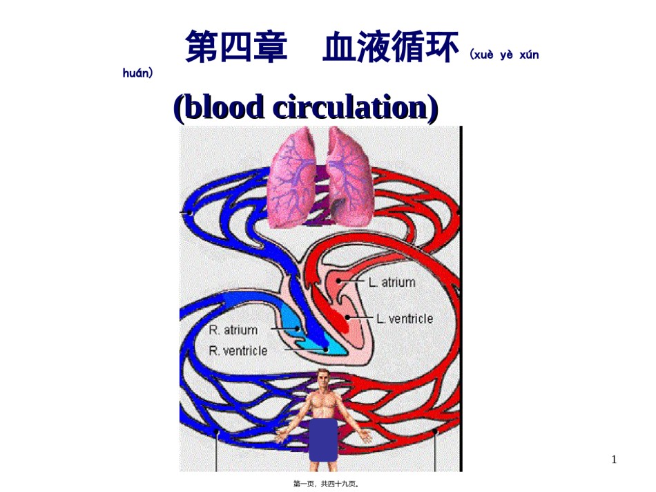 2022年医学专题—4-血液循环剖析.ppt_第1页