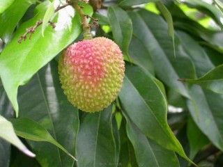 2022年医学专题—4.1.3.基本病变表现.ppt