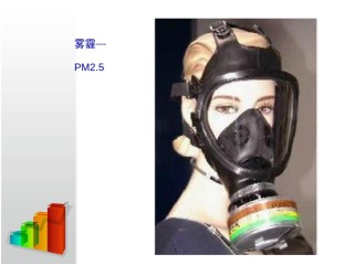 2022年医学专题—4.3.1李善娥111呼吸道对空气的处理.ppt