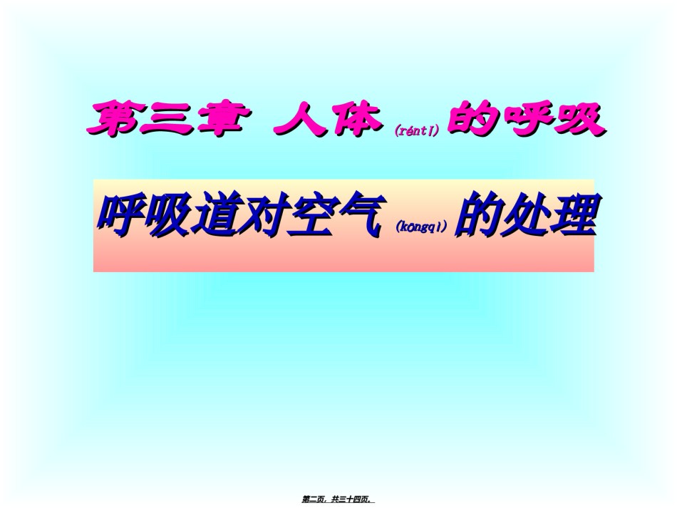 2022年医学专题—4.3.1呼吸道对空气的处理.ppt_第2页