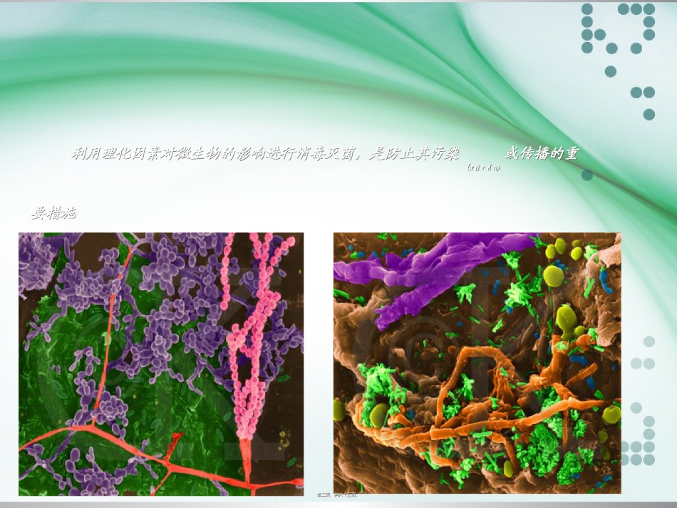 2022年医学专题—4.消毒灭菌与噬菌体(人卫8版).ppt_第2页