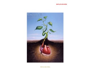 2022年医学专题—4.血液循环.ppt