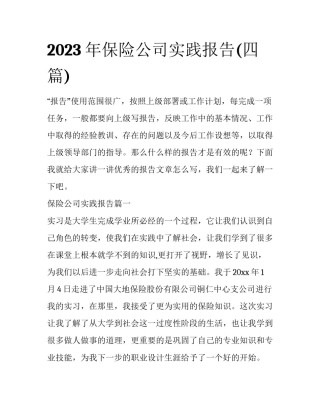 2023年保险公司实践报告(四篇)