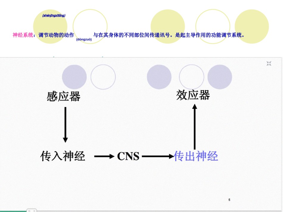 2022年医学专题—4传出神经系统药.ppt_第2页