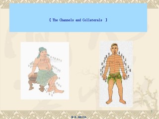 2022年医学专题—4经络-病因教程.ppt